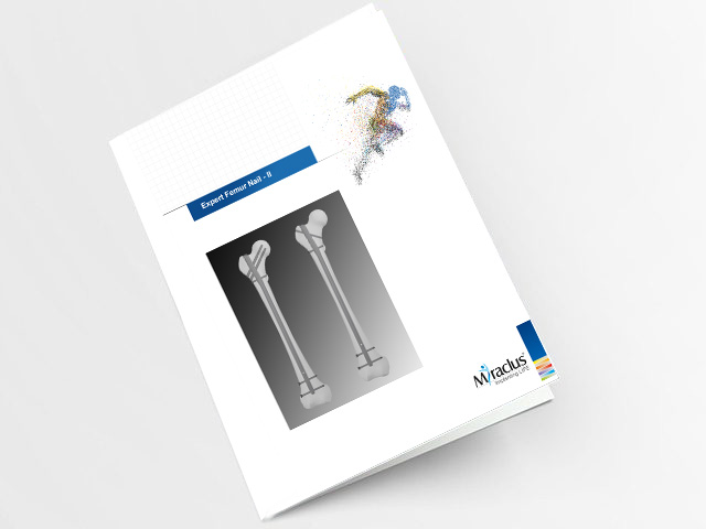 Expert Femur Nail II Catalogue