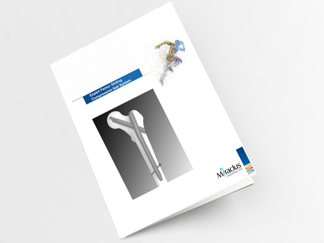 Expert Femur Sliding Compression Nail Catalogue