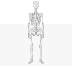 All